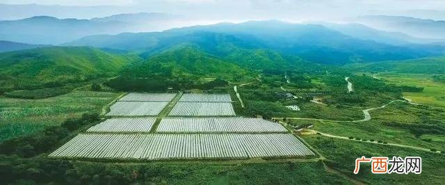 农场工作招聘信息,农业种植负责人招聘