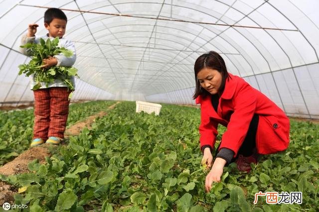 我失业了想干点什么好呢 失业了想创业做什么好