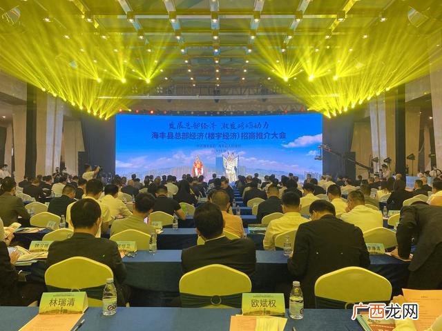 推介会和招商会 政府招商推介会方案doc