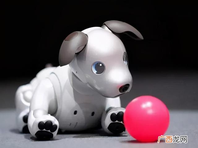 互联网宠物app创业计划书 宠物食品创业计划书