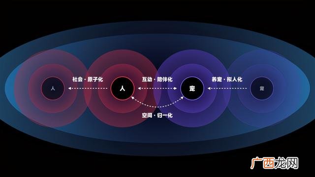 互联网宠物app创业计划书 宠物食品创业计划书