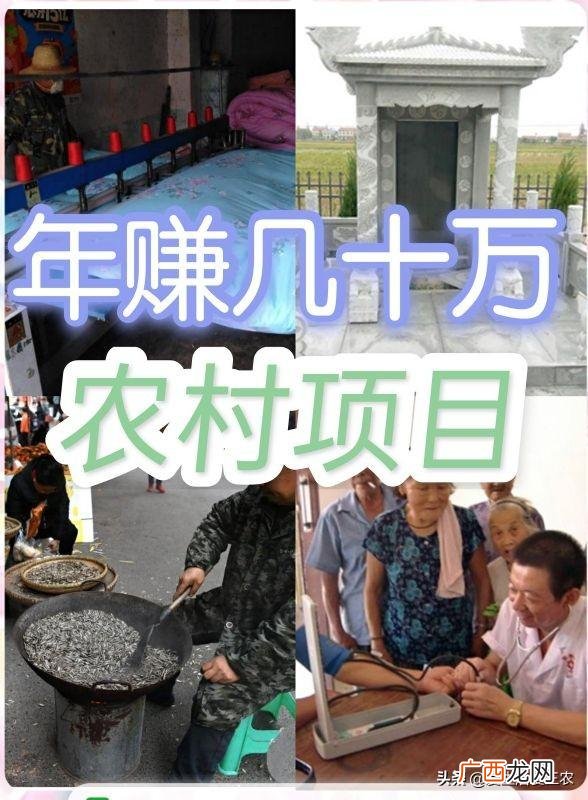 农村赚钱项目有哪些 最新农村投资创业项目