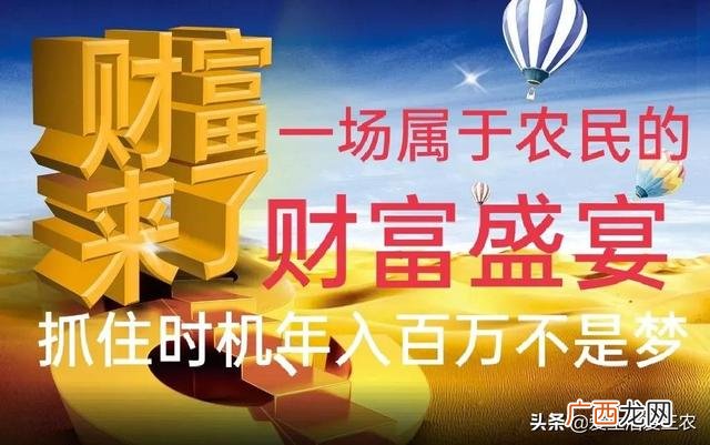 农村赚钱项目有哪些 最新农村投资创业项目
