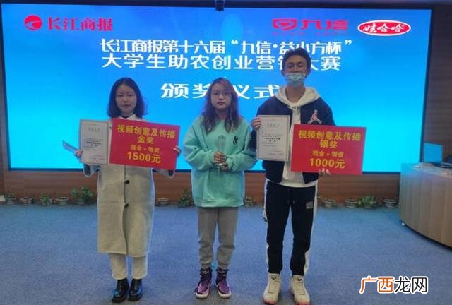 大学生创新创业项目 十佳青年创业大赛茶叶