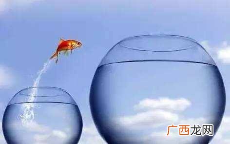 工资不到4000要辞职吗,月薪4000辞职创业