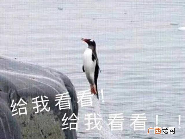 广州大学生创业补助 大学生创业补助流程