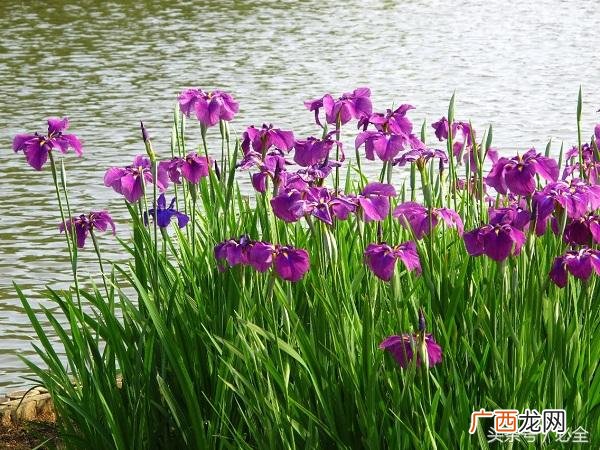 开鞋店5万块钱可以吗,在农村开什么店比较好投资小