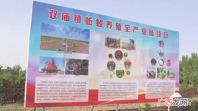 农村养牛风险大吗,回乡创业养牛资金怎么办