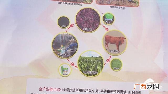 农村养牛风险大吗,回乡创业养牛资金怎么办