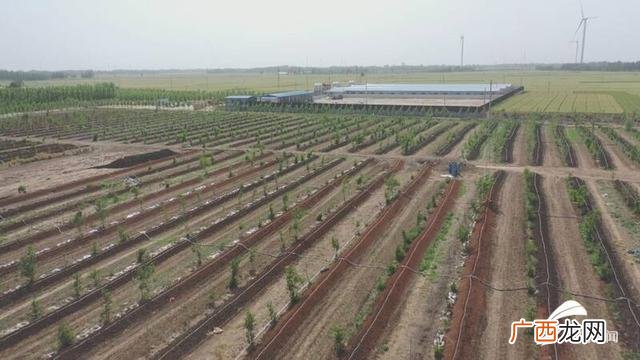 农村养牛风险大吗,回乡创业养牛资金怎么办