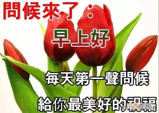 做人人品很重要的句子 能人多干事的谚语