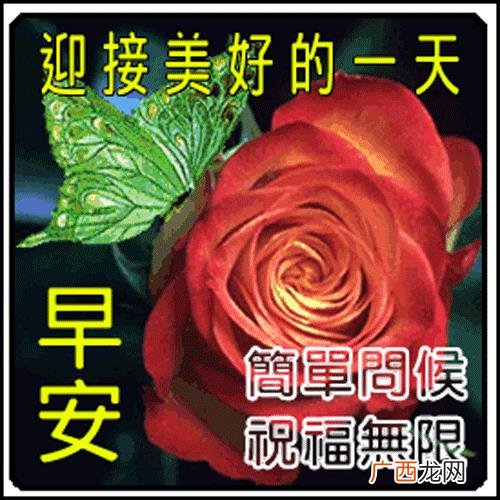 做人人品很重要的句子 能人多干事的谚语