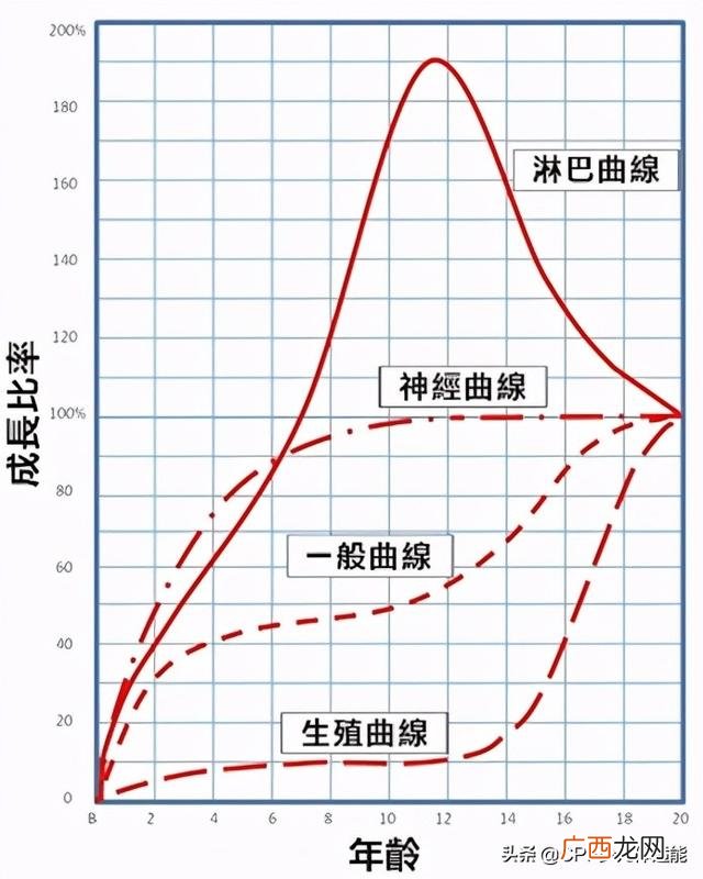 4―5岁儿童体能训练班有用吗,适合儿童的室内健身器材