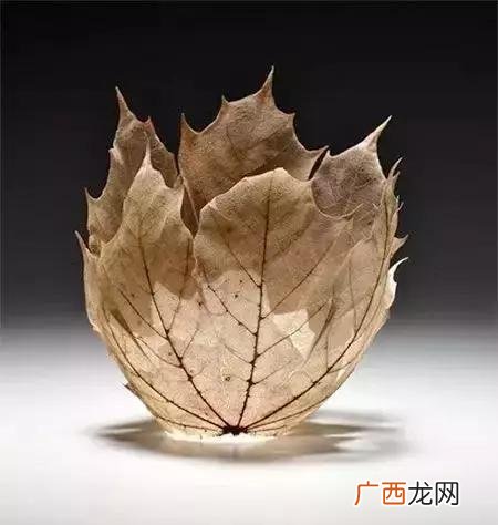 2020在家适合做的生意 2020项目商机