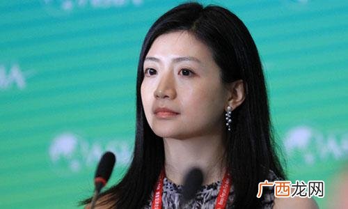 云锋基金创始人李颖 云峰基金的