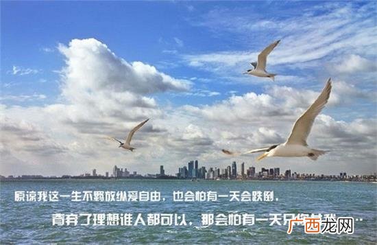 好听的励志歌曲 创业励志歌曲排行榜前十名