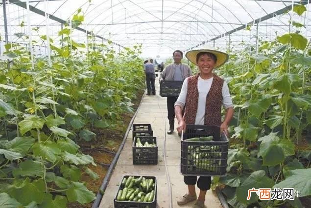 回乡创业补贴怎么办理,返乡农民工创业补贴找哪个部门办理