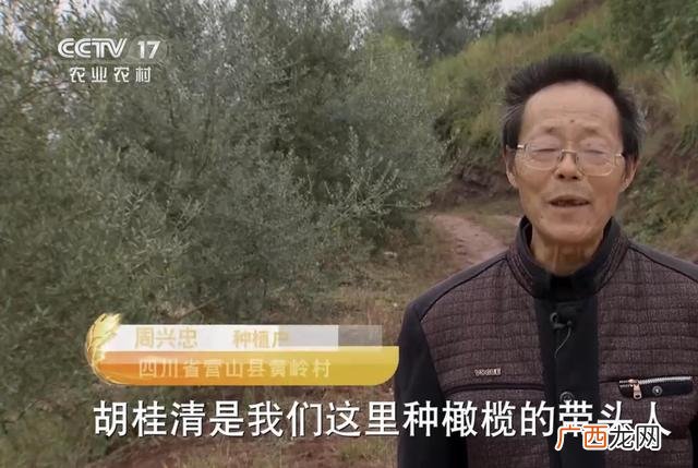 商机创业网 创业树网络科技有限公司