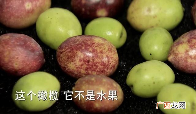 商机创业网 创业树网络科技有限公司