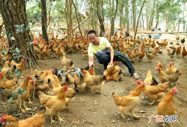 把别人的苟且活成热血,热血绘成创业图