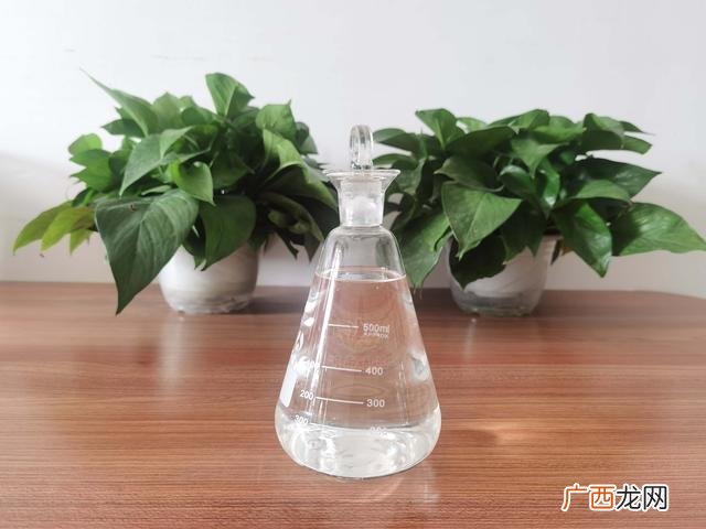 工业植物油,植物油燃料创业