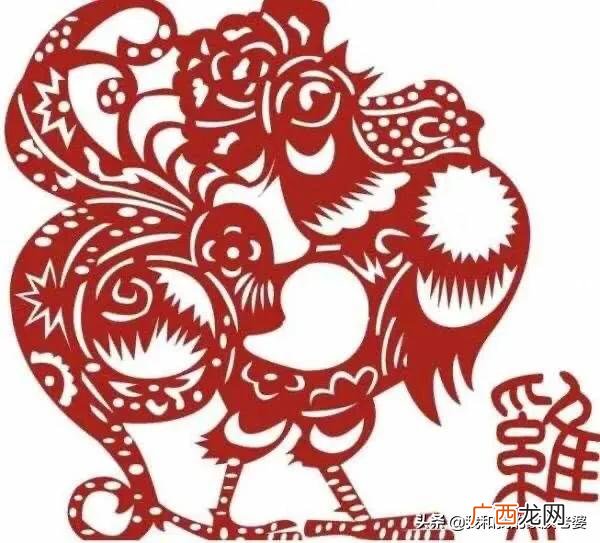 十二生肖谁最会创业,天生适合创业的生肖
