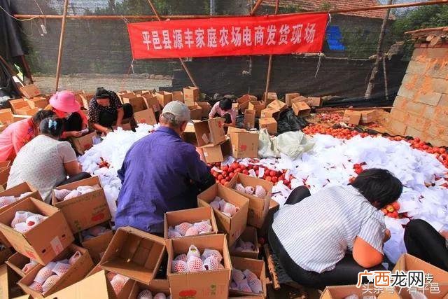 平邑网,平邑创业吧