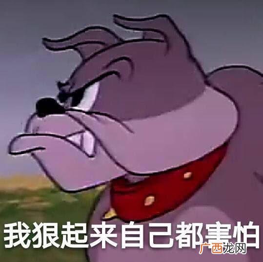 创业为什么这么难,现在创业难吗