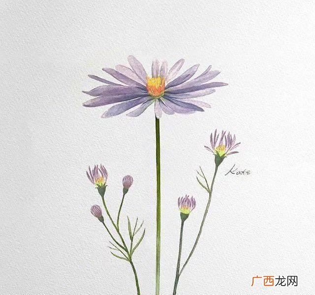 抖音最火的励志句子 创业抖音软文