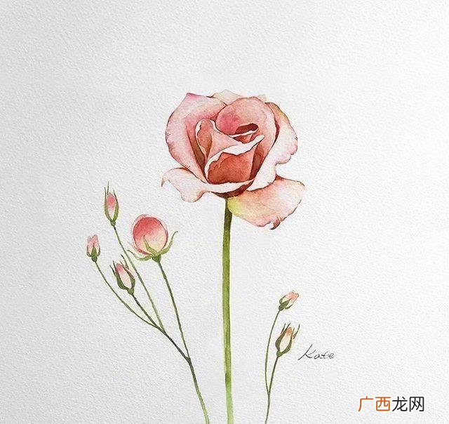 抖音最火的励志句子 创业抖音软文