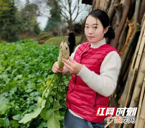 大学生自主创业项目简介 返乡创业个人简介