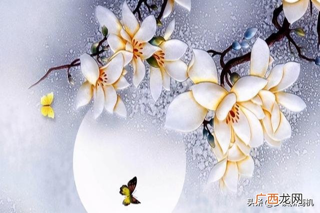 投资小利润高的小生意 没手艺创业