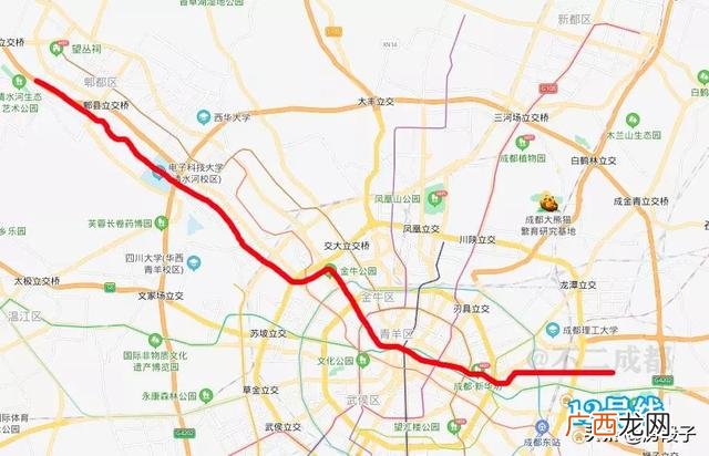 2021成都卖批一条街,成都蛟龙港