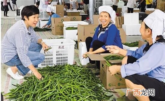 政府招商专员整天干什么,女生做招商专员好不好