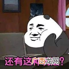 女人躺着也能赚钱 大鹏躺着赚钱