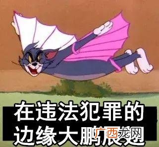 女人躺着也能赚钱 大鹏躺着赚钱