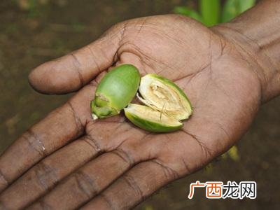 口味王槟榔进货渠道 口味王槟榔代理条件