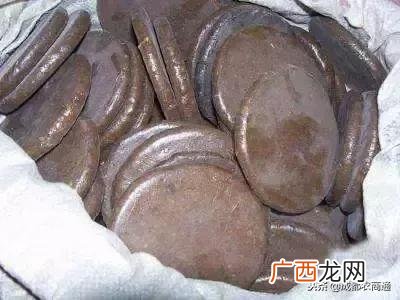 养殖蟾蜍哪家好些 养殖蟾蜍的前景