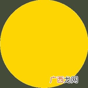 投资创业 陈思创业故事是真的吗