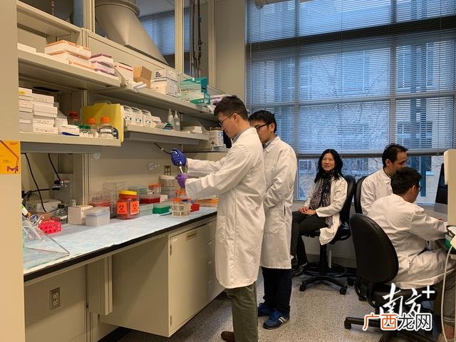 健康行业做什么生意,大健康创业