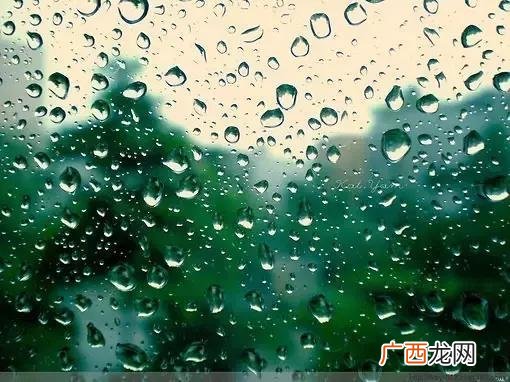 失败造就成功的作文,创业失败也是一种成功对吗