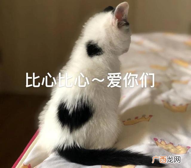 手机怎么赚钱一天一百左右,手机靠谱的挣钱软件有哪些