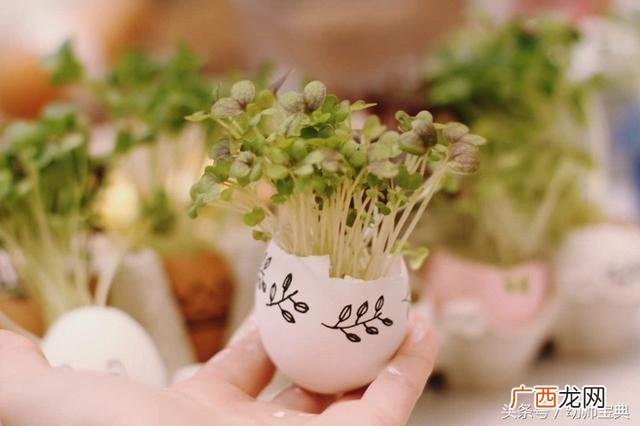 亲子diy香薰活动方案 亲儿童手工diy项目