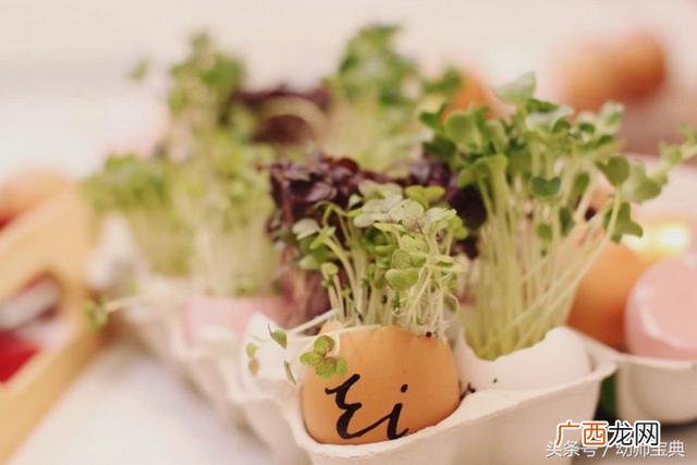 亲子diy香薰活动方案 亲儿童手工diy项目