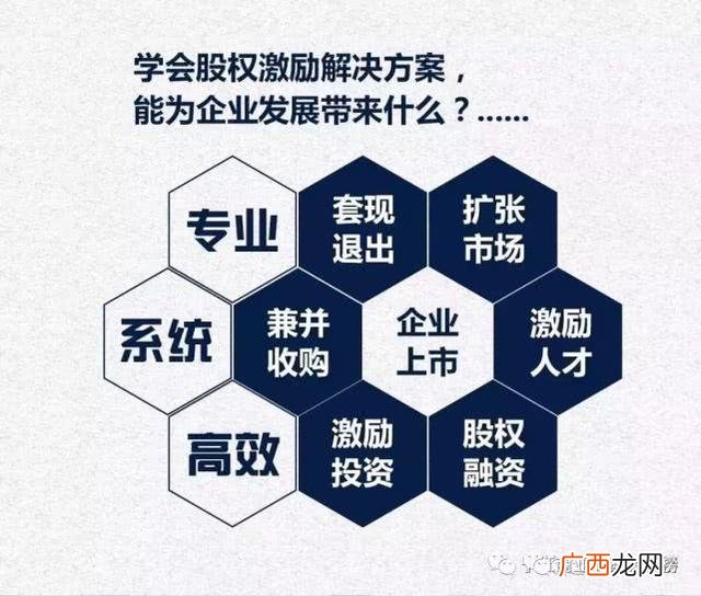一起创业,业胎一起创业