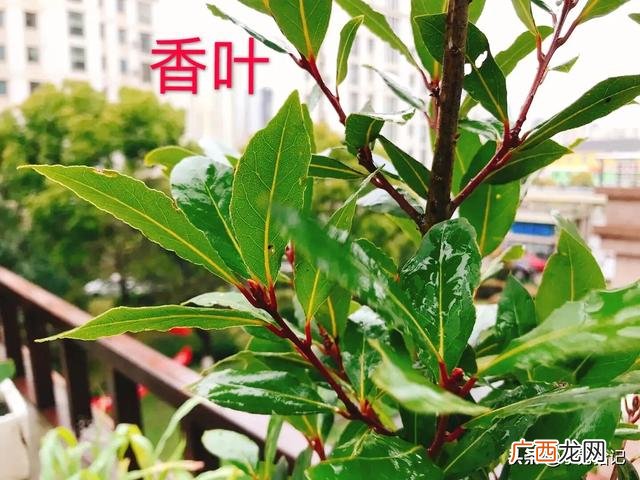 小秀同学休闲食品全国连锁 小秀同学休闲零食好难吃