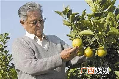 暖暖直播的提成怎么算 王暖暖直播