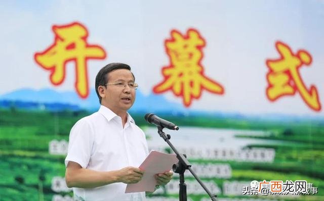 乡村振兴大赛 广西农村创业创新大赛