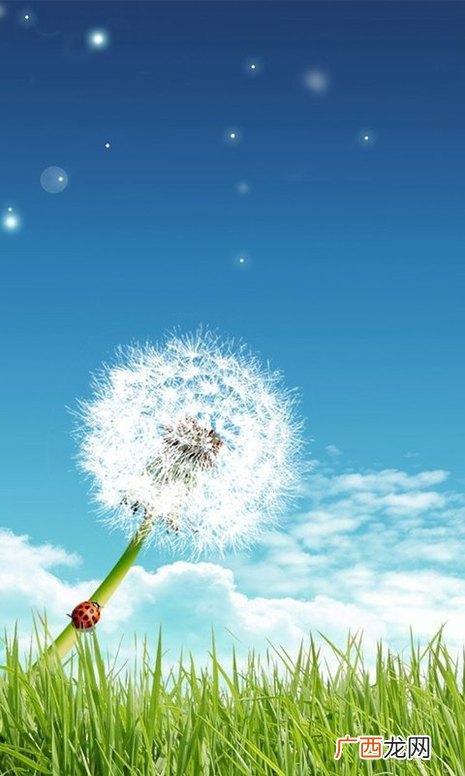 共情的五个层次 共情图是什么