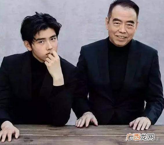 有名的美籍华人,美籍华人明星